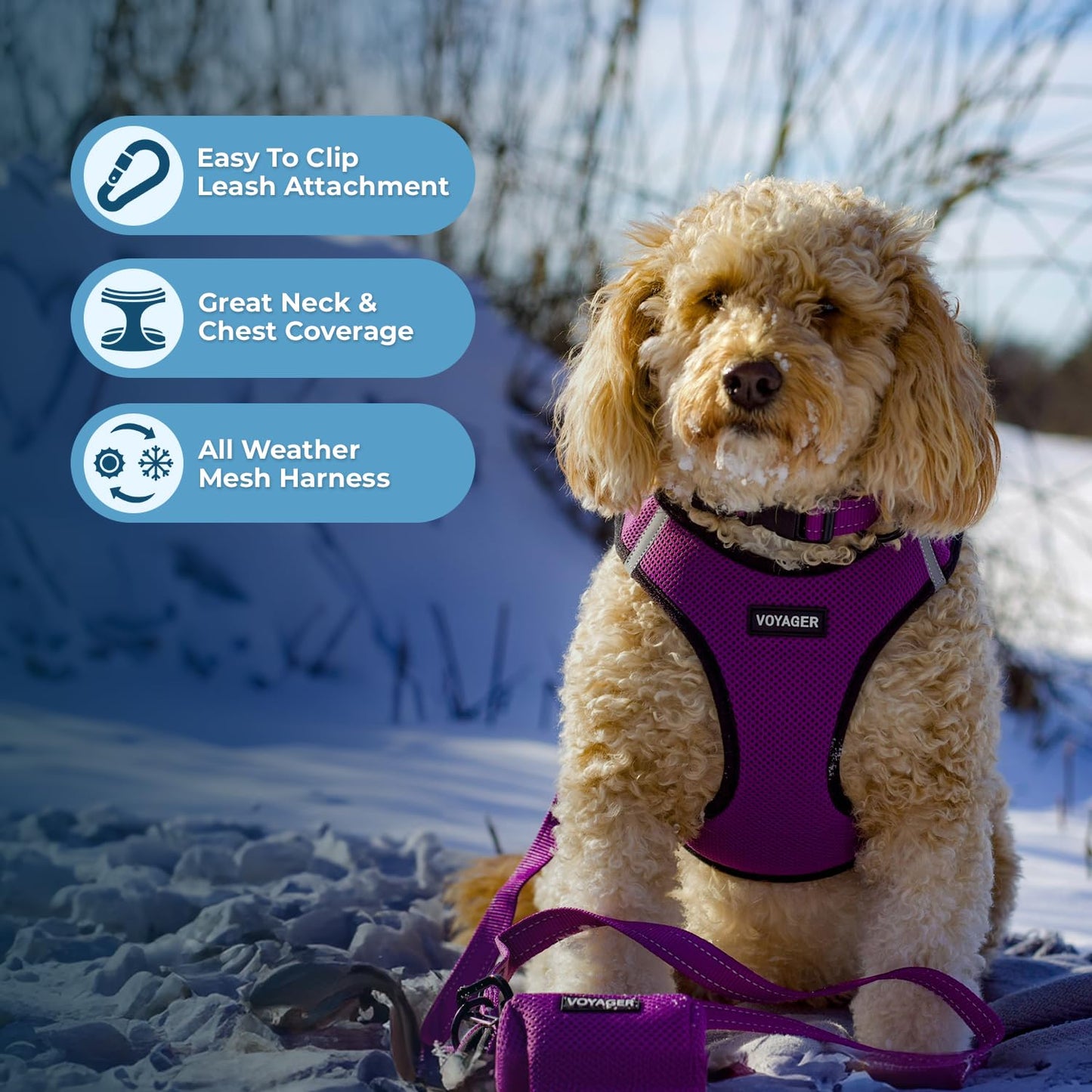 Voyager Step-In Air Dog Harness - All Weather Mesh, Reflective, No Pull Harness for Small, Medium Dogs, Cats - Secure with Hook & Loop Fastener, Buckle, Double D-Rings - Black/Black Trim, S