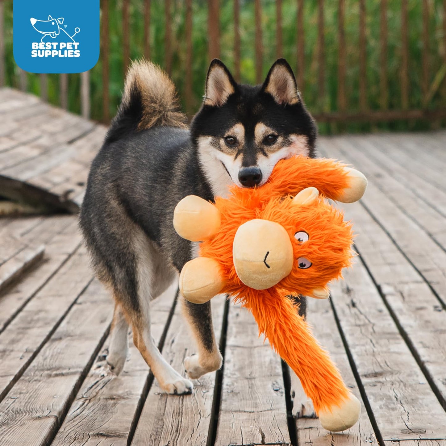 Best Pet Supplies 2-in-1 Stuffless Squeaky Dog Toys with Soft, Durable Fabric for Small, Medium, and Large Pets, No Stuffing for Indoor Play, Supports Active Biting and Play - 1Wild Duck, Small