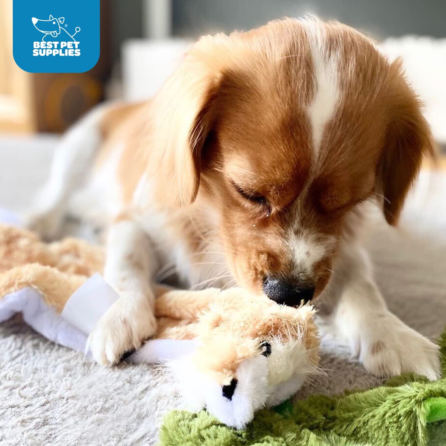 Best Pet Supplies 2-in-1 Stuffless Squeaky Dog Toys with Soft, Durable Fabric for Small, Medium, and Large Pets, No Stuffing for Indoor Play, Supports Active Biting and Play - 1Wild Duck, Small