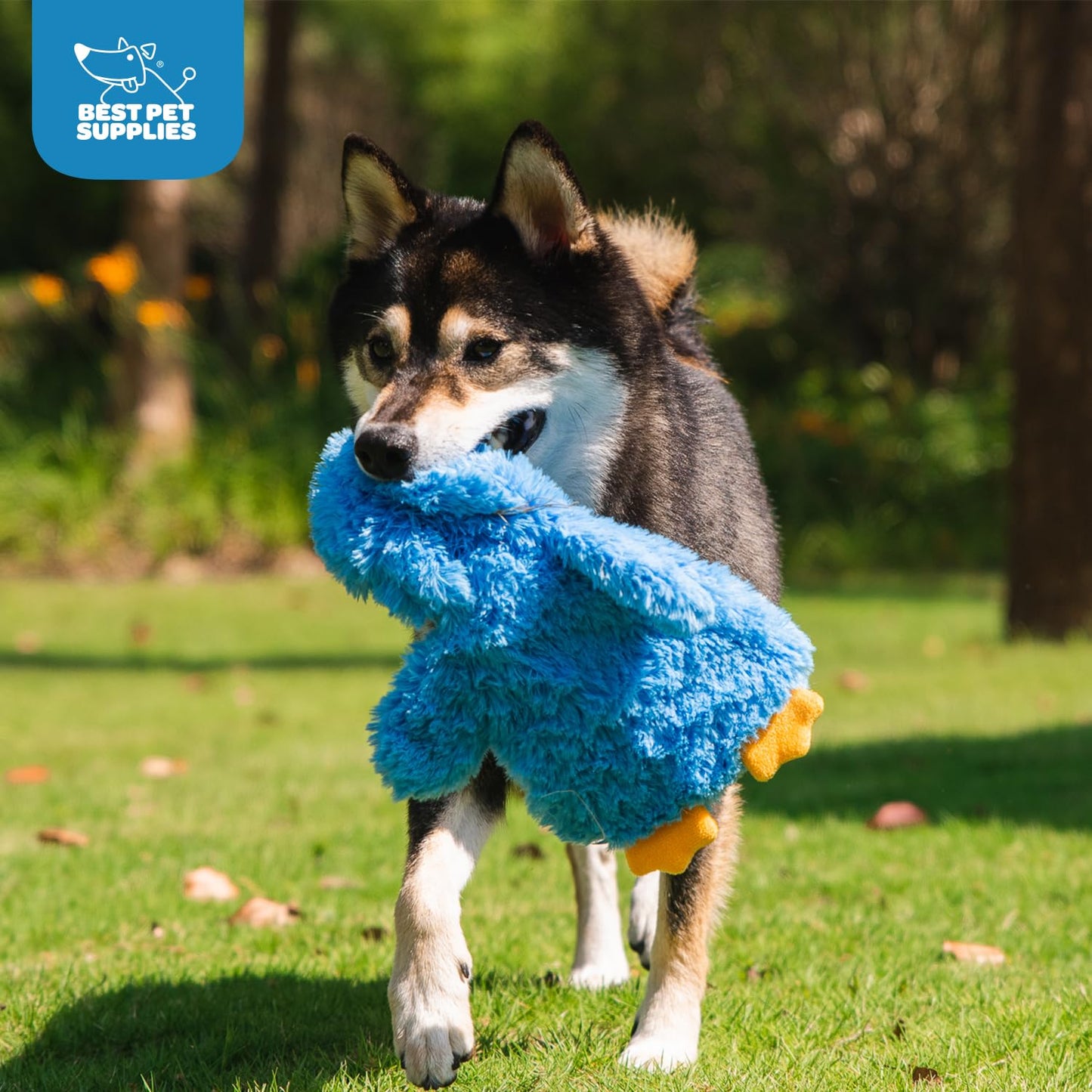 Best Pet Supplies 2-in-1 Stuffless Squeaky Dog Toys with Soft, Durable Fabric for Small, Medium, and Large Pets, No Stuffing for Indoor Play, Supports Active Biting and Play - 1Wild Duck, Small