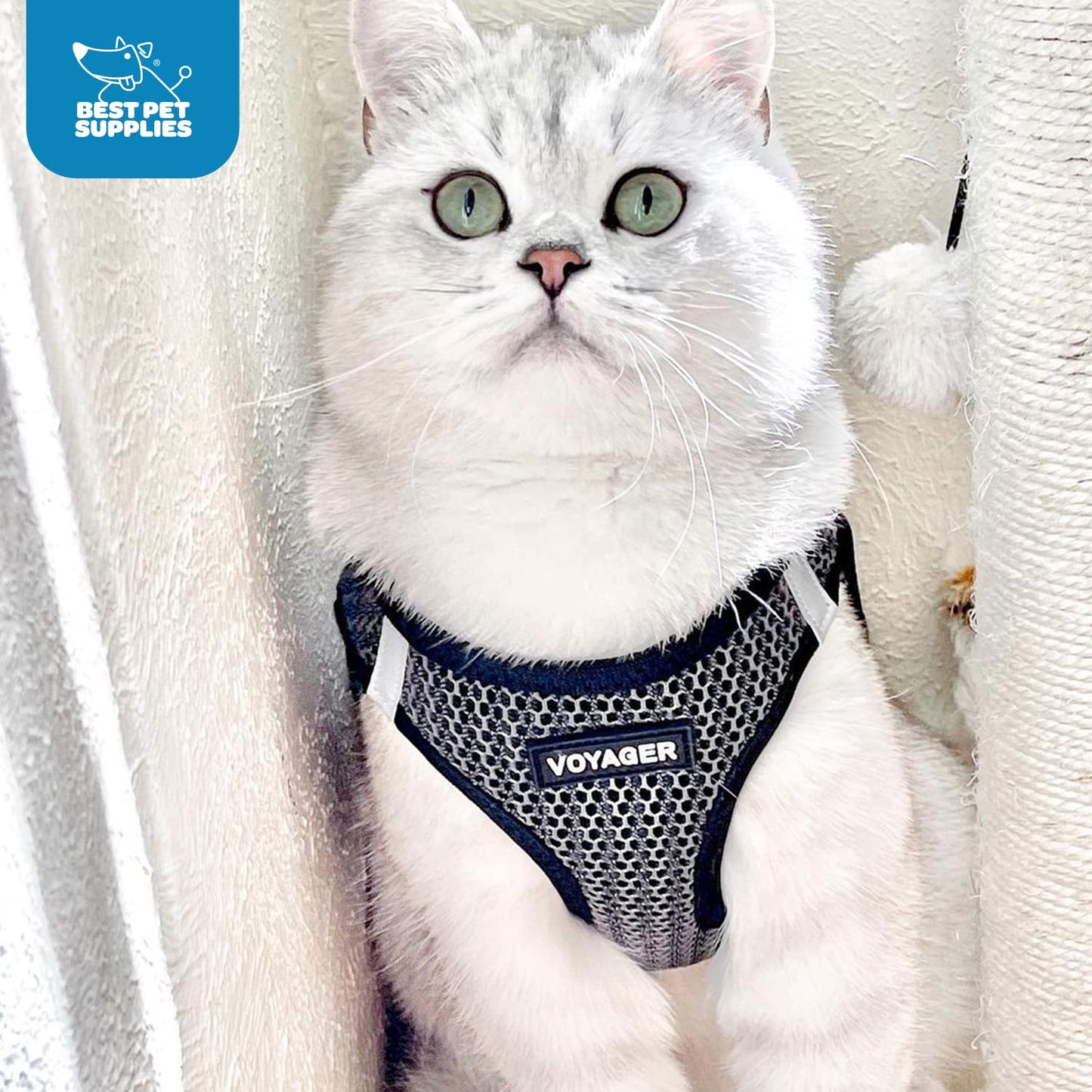Best Pet Supplies Voyager Step-in Air Dog Harness - All Weather Mesh Step in Vest Harness for Small and Medium Dogs by - Harness (Fuchsia), Medium