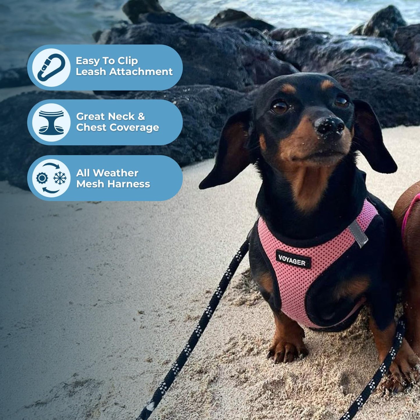 Voyager Step-In Air Dog Harness - All Weather Mesh, Reflective, No Pull Harness for Small, Medium Dogs, Cats - Secure with Hook & Loop Fastener, Buckle, Double D-Rings - Black/Black Trim, S