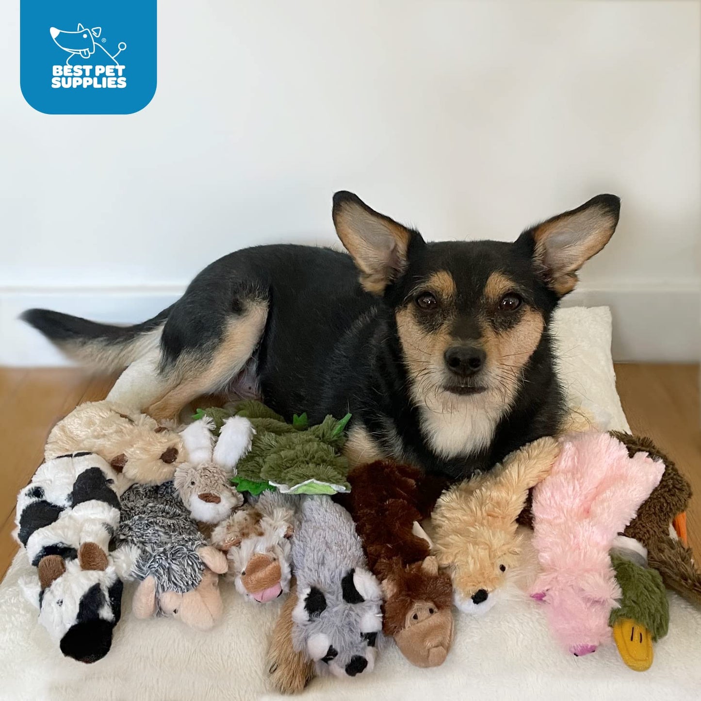 Best Pet Supplies 2-in-1 Stuffless Squeaky Dog Toys with Soft, Durable Fabric for Small, Medium, and Large Pets, No Stuffing for Indoor Play, Supports Active Biting and Play - 1Wild Duck, Small