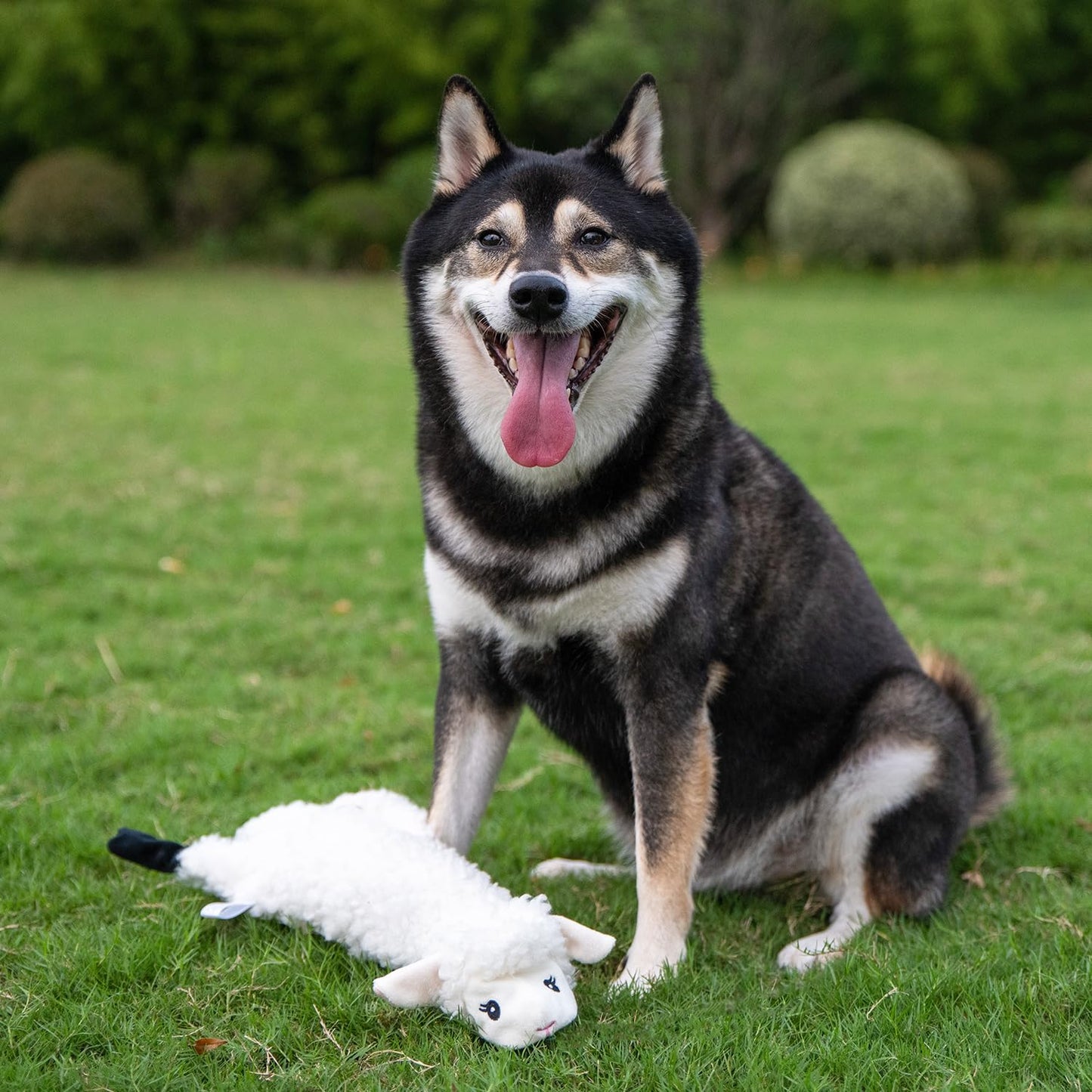 Best Pet Supplies 2-in-1 Stuffless Squeaky Dog Toys with Soft, Durable Fabric for Small, Medium, and Large Pets, No Stuffing for Indoor Play, Supports Active Biting and Play - 1Wild Duck, Small