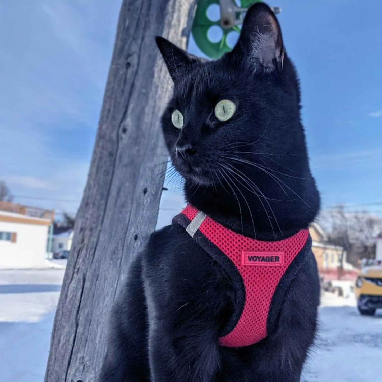 Voyager Step-In Air Dog Harness - All Weather Mesh, Reflective, No Pull Harness for Small, Medium Dogs, Cats - Secure with Hook & Loop Fastener, Buckle, Double D-Rings - Black/Black Trim, S