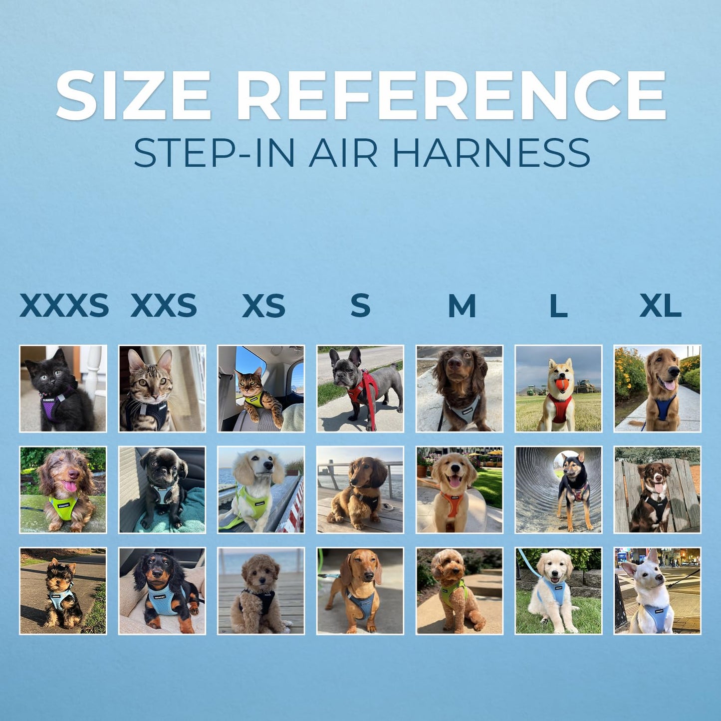 Voyager Step-In Air Dog Harness - All Weather Mesh, Reflective, No Pull Harness for Small, Medium Dogs, Cats - Secure with Hook & Loop Fastener, Buckle, Double D-Rings - Black/Black Trim, S