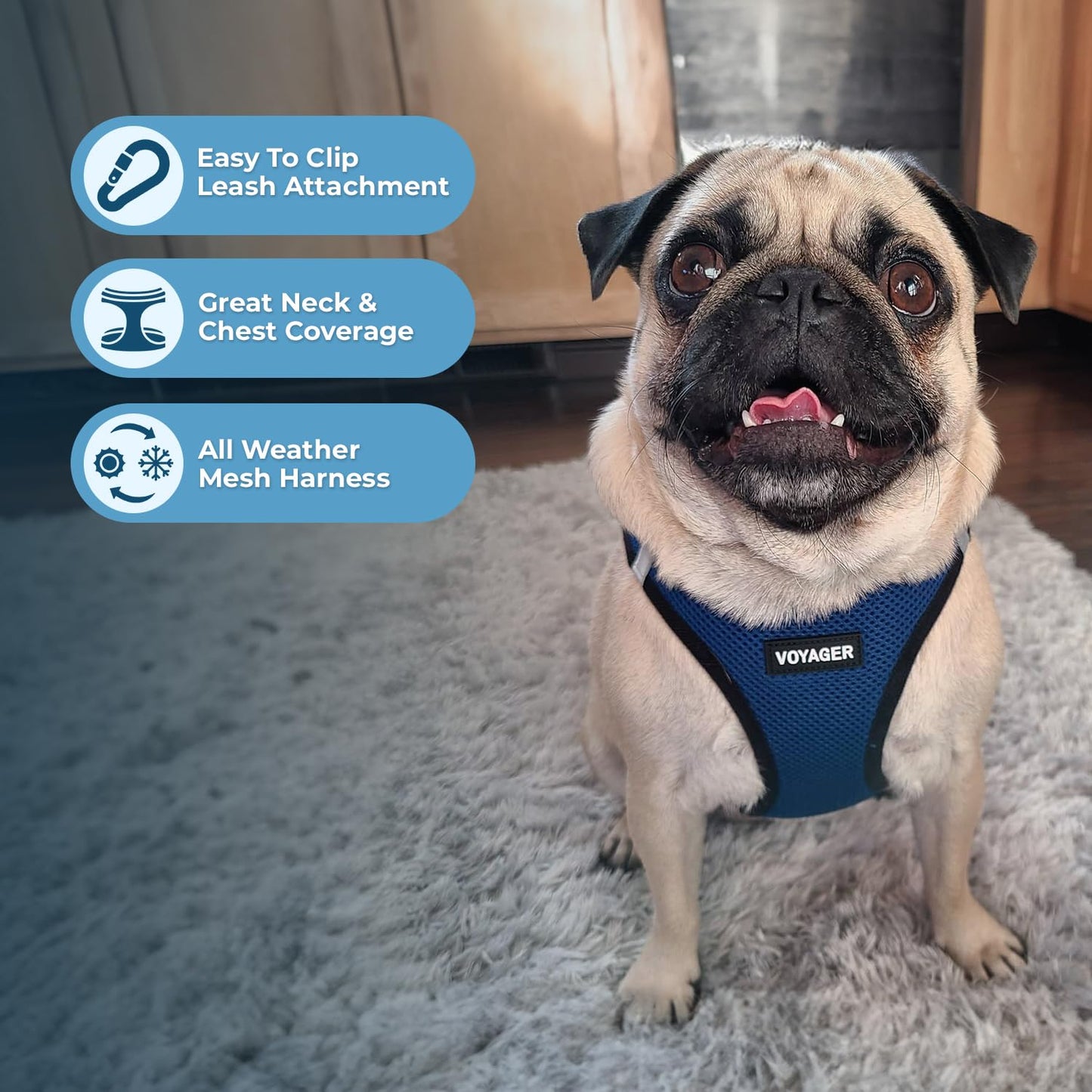 Voyager Step-In Air Dog Harness - All Weather Mesh, Reflective, No Pull Harness for Small, Medium Dogs, Cats - Secure with Hook & Loop Fastener, Buckle, Double D-Rings - Black/Black Trim, S