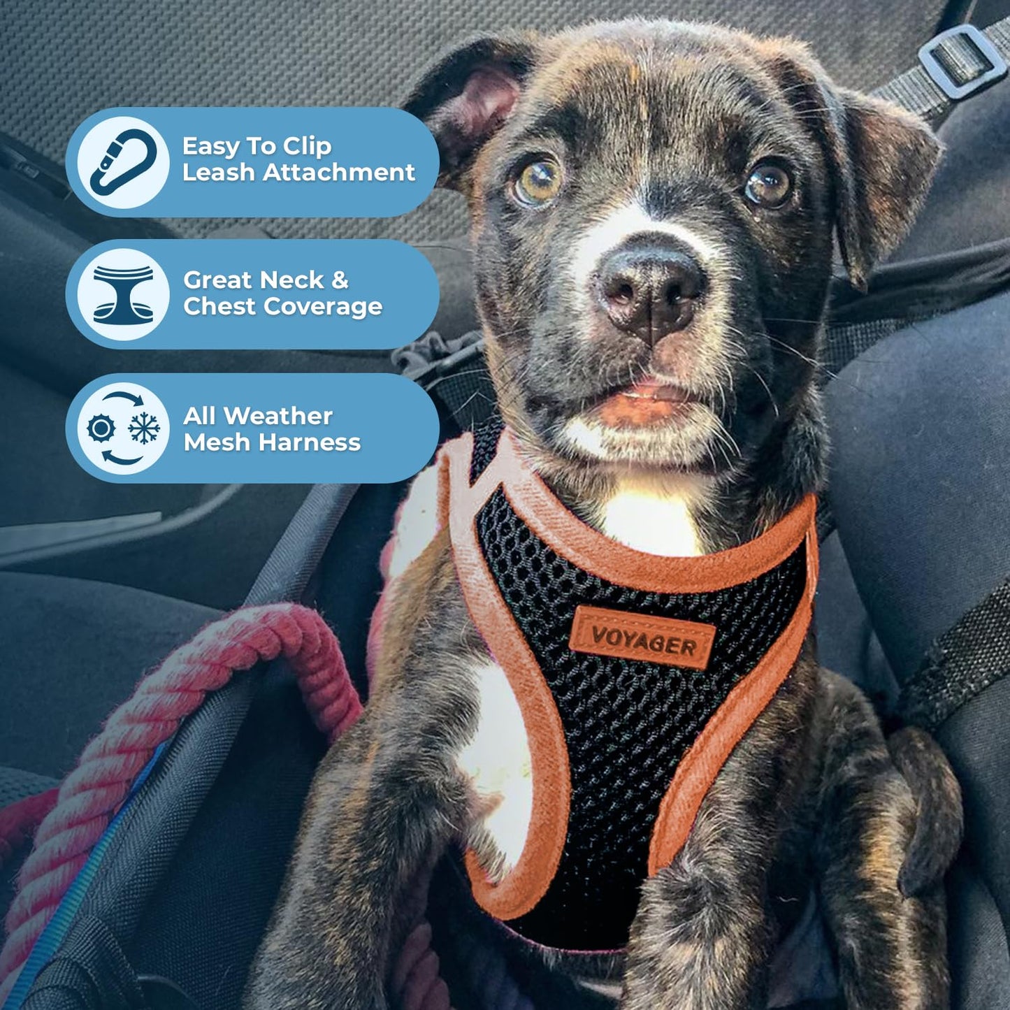 Voyager Step-In Air Dog Harness - All Weather Mesh, Reflective, No Pull Harness for Small, Medium Dogs, Cats - Secure with Hook & Loop Fastener, Buckle, Double D-Rings - Black/Black Trim, S
