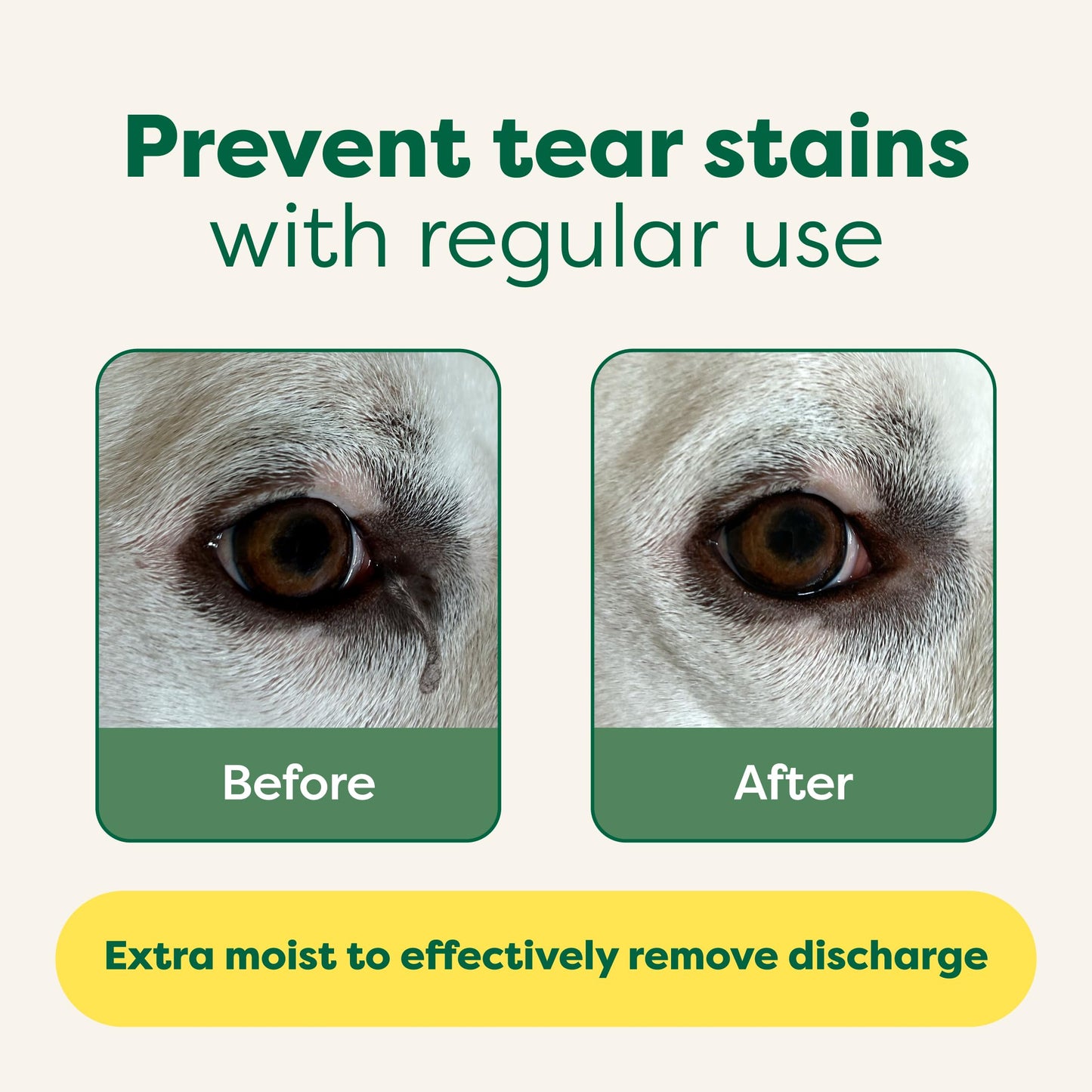 Earth Rated Pet Ear Wipes, Hypoallergenic Ear Wipes for Dogs & Cats to Remove Dirt and Wax Build up, Oatmeal Scent, 70 Count
