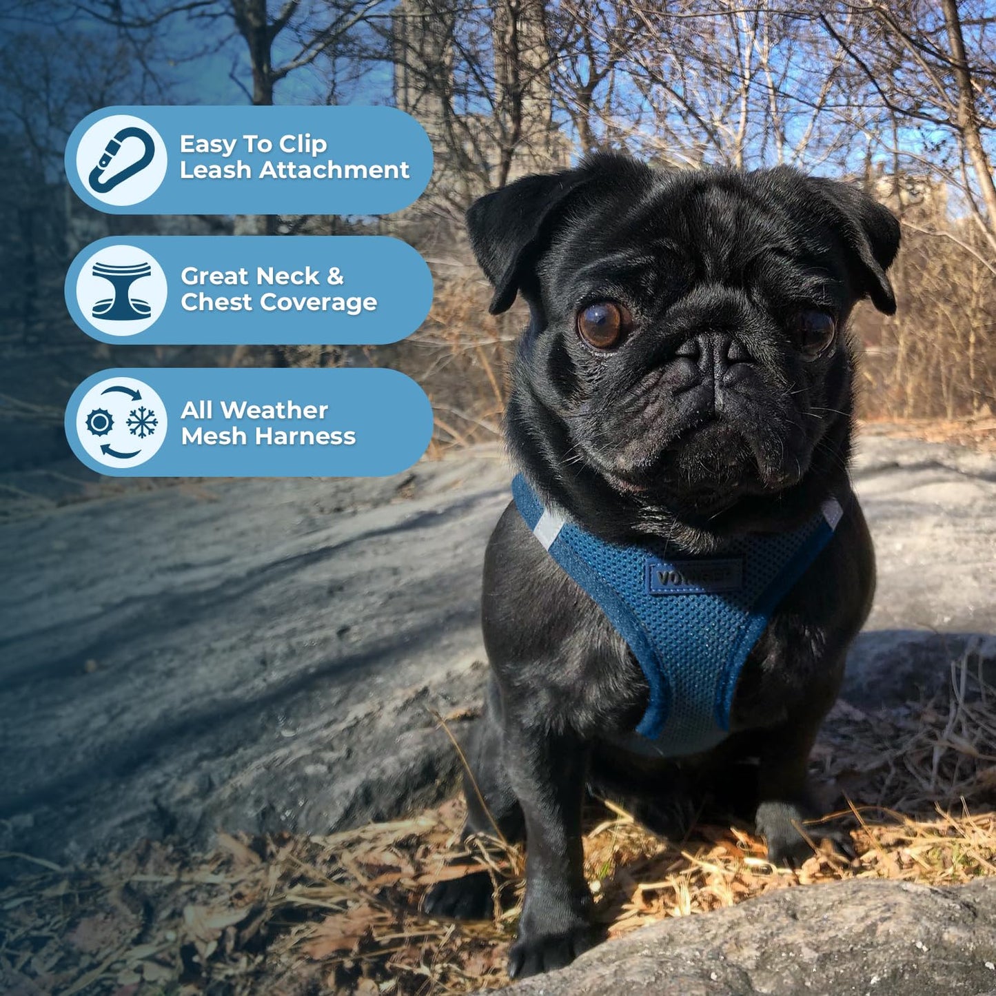 Best Pet Supplies Voyager Step-in Air Dog Harness - All Weather Mesh Step in Vest Harness for Small and Medium Dogs by - Harness (Fuchsia), Medium