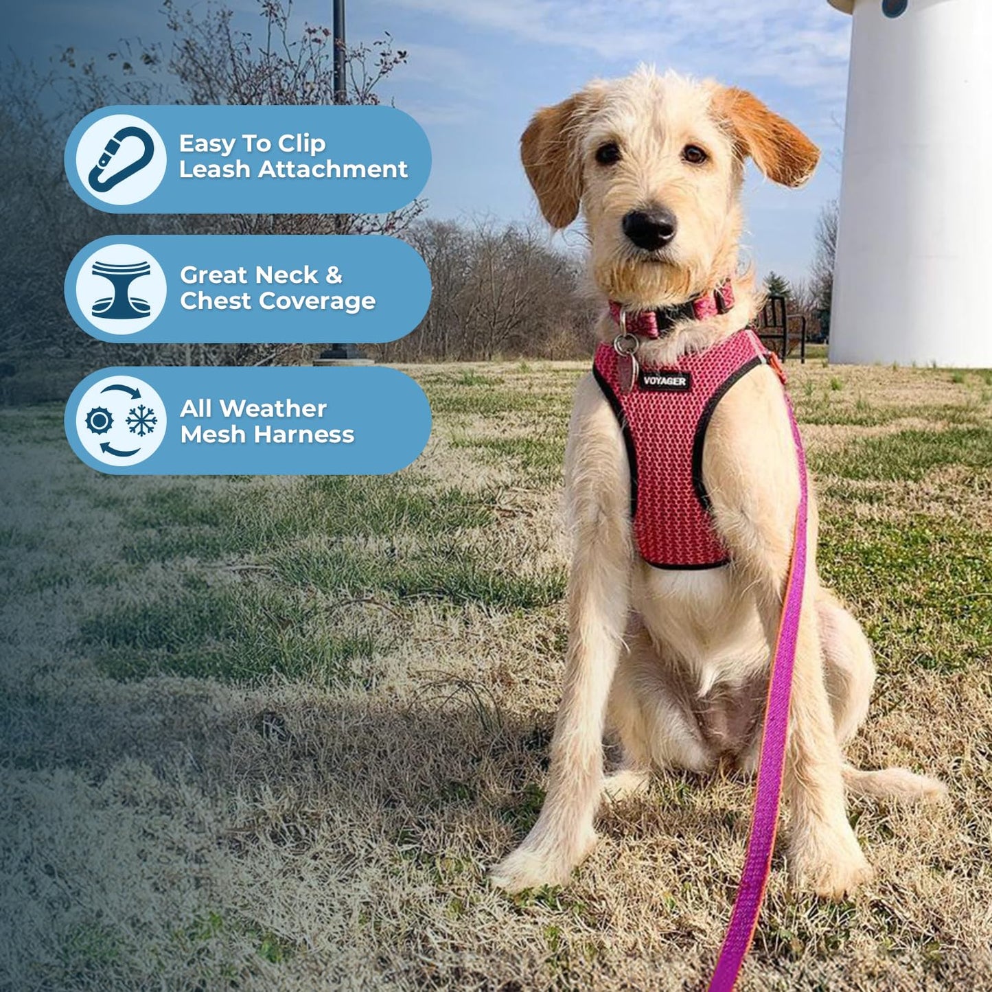 Voyager Step-In Air Dog Harness - All Weather Mesh, Reflective, No Pull Harness for Small, Medium Dogs, Cats - Secure with Hook & Loop Fastener, Buckle, Double D-Rings - Black/Black Trim, S
