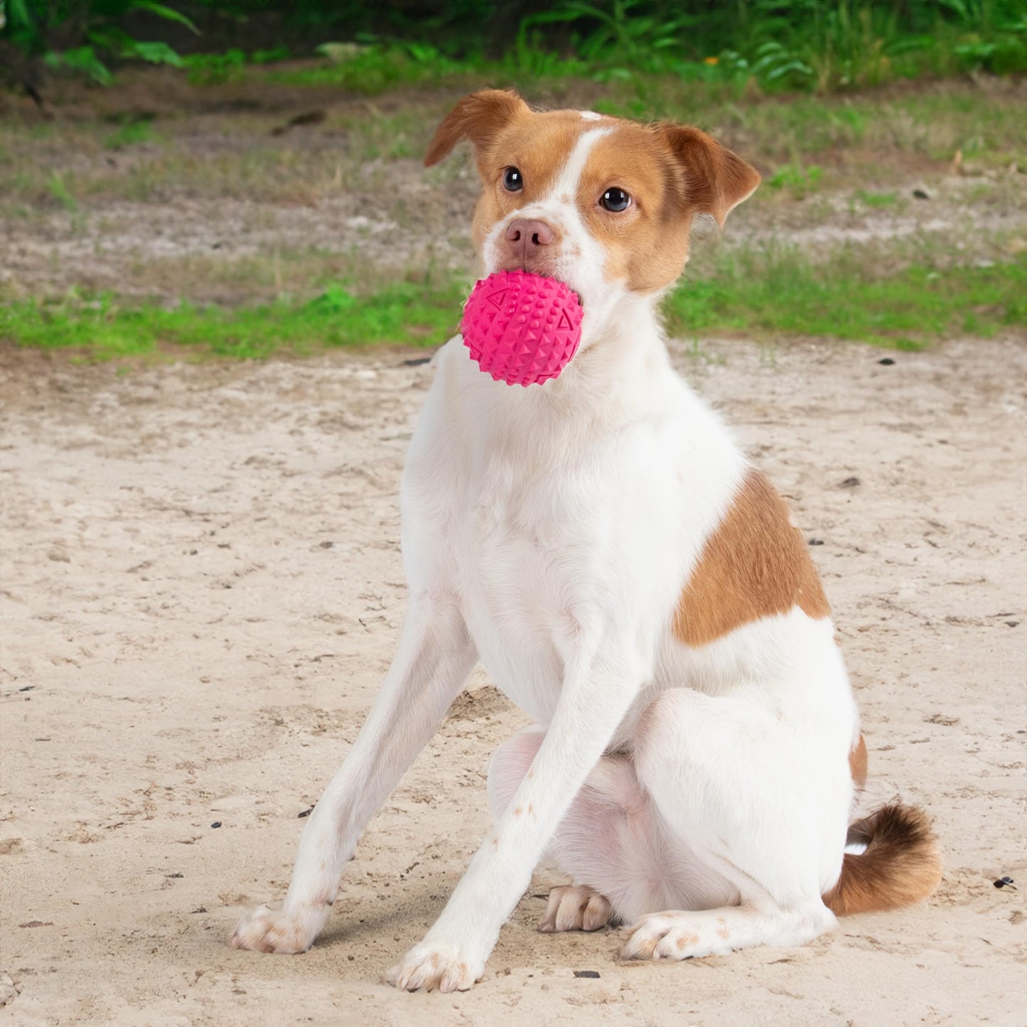 Best Pet Supplies 2-in-1 Stuffless Squeaky Dog Toys with Soft, Durable Fabric for Small, Medium, and Large Pets, No Stuffing for Indoor Play, Supports Active Biting and Play - 1Wild Duck, Small