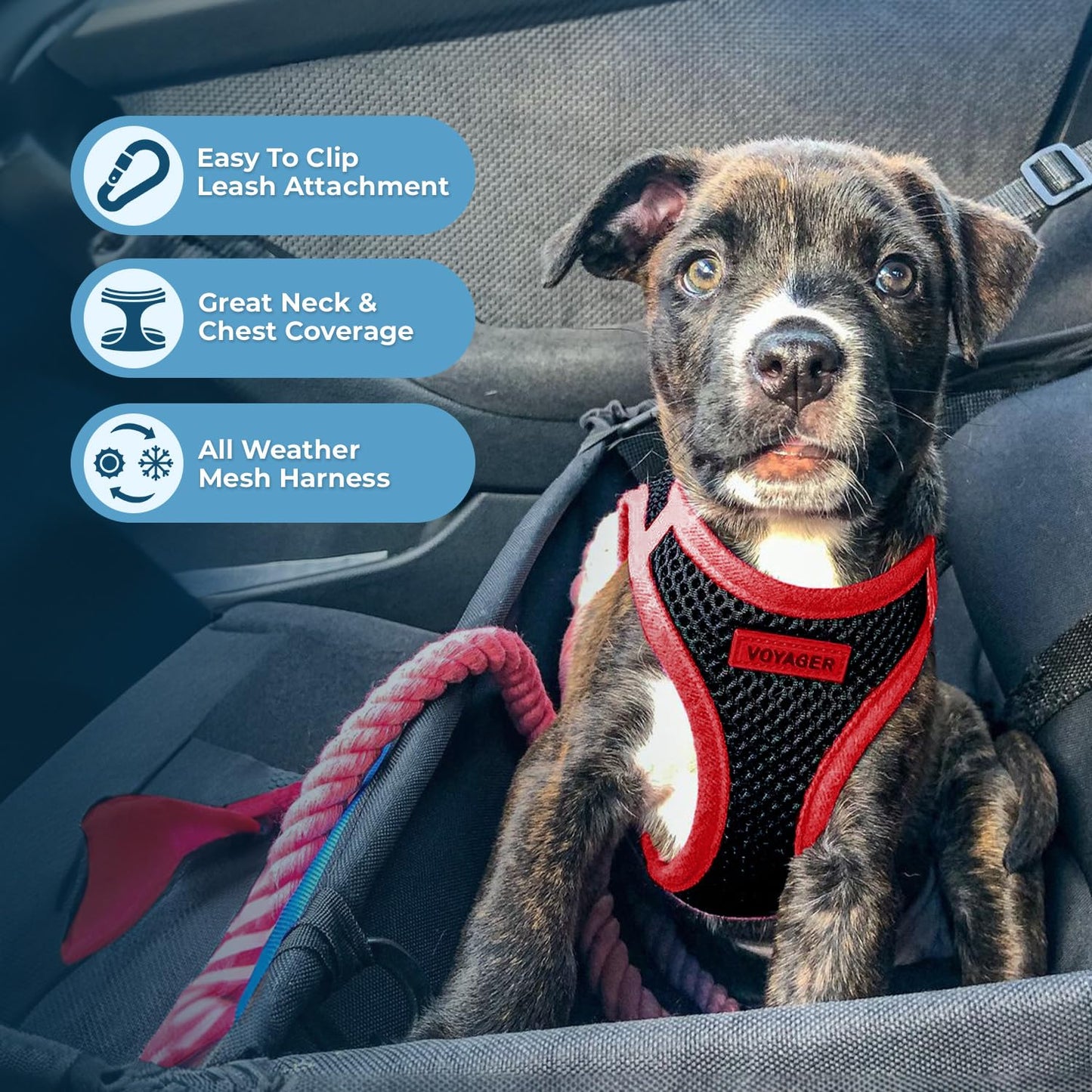 Voyager Step-In Air Dog Harness - All Weather Mesh, Reflective, No Pull Harness for Small, Medium Dogs, Cats - Secure with Hook & Loop Fastener, Buckle, Double D-Rings - Black/Black Trim, S
