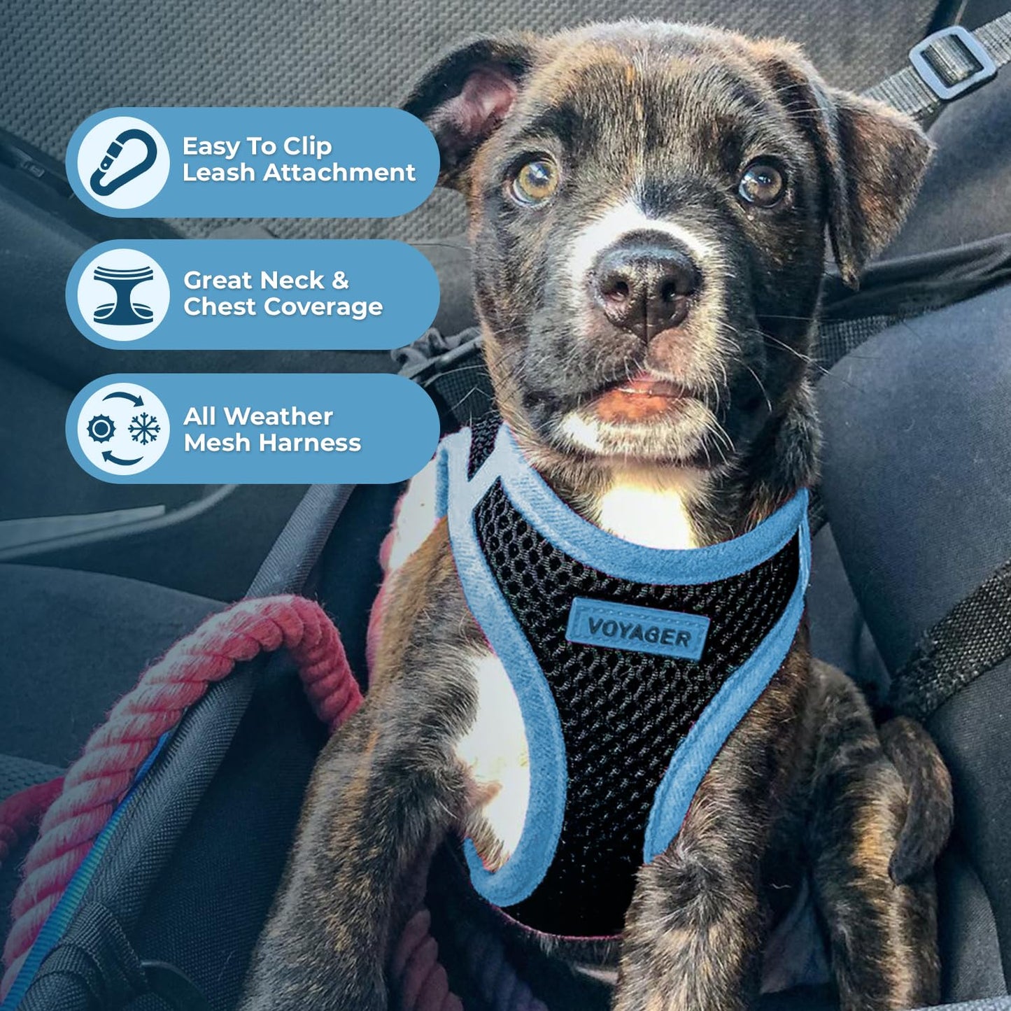 Voyager Step-In Air Dog Harness - All Weather Mesh, Reflective, No Pull Harness for Small, Medium Dogs, Cats - Secure with Hook & Loop Fastener, Buckle, Double D-Rings - Black/Black Trim, S