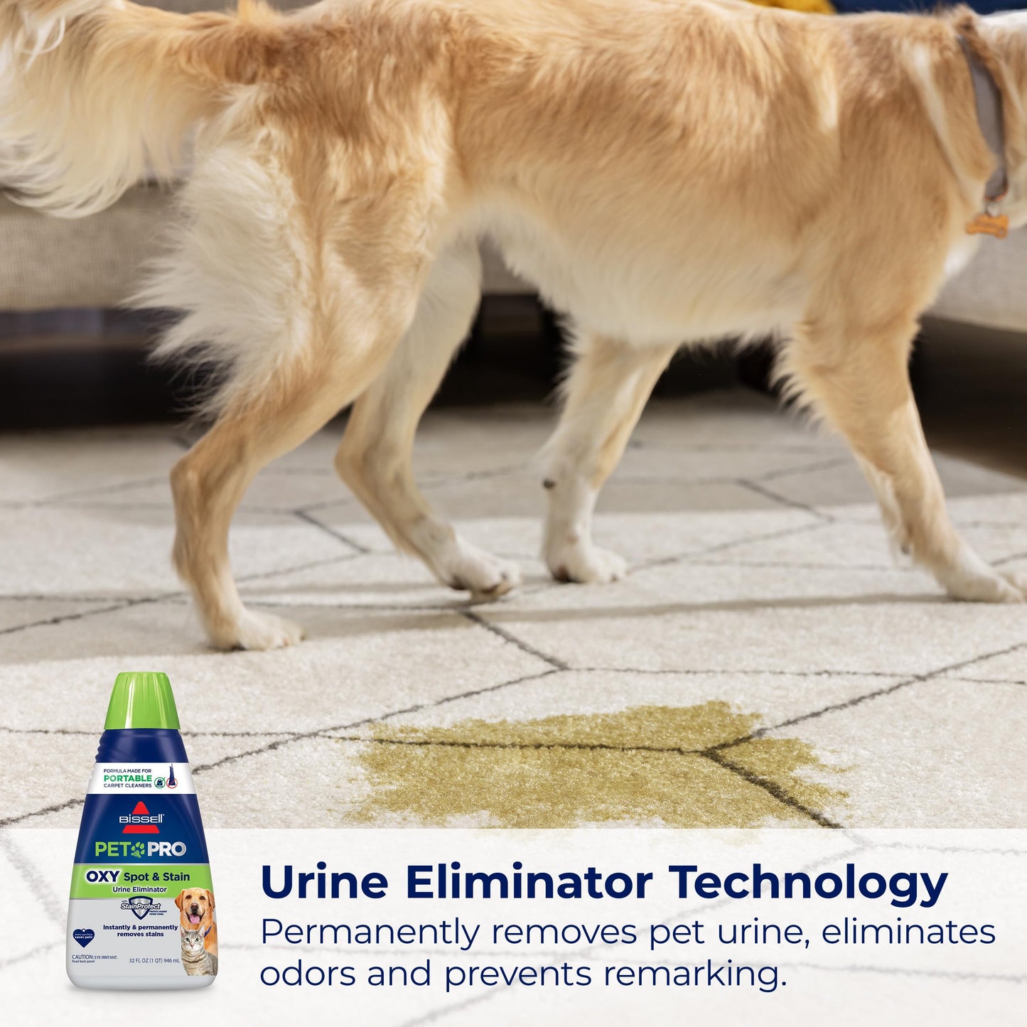 BISSELL® PET PRO OXY Spot & Stain Formula for Portable Carpet Cleaners, 32 oz., 2034