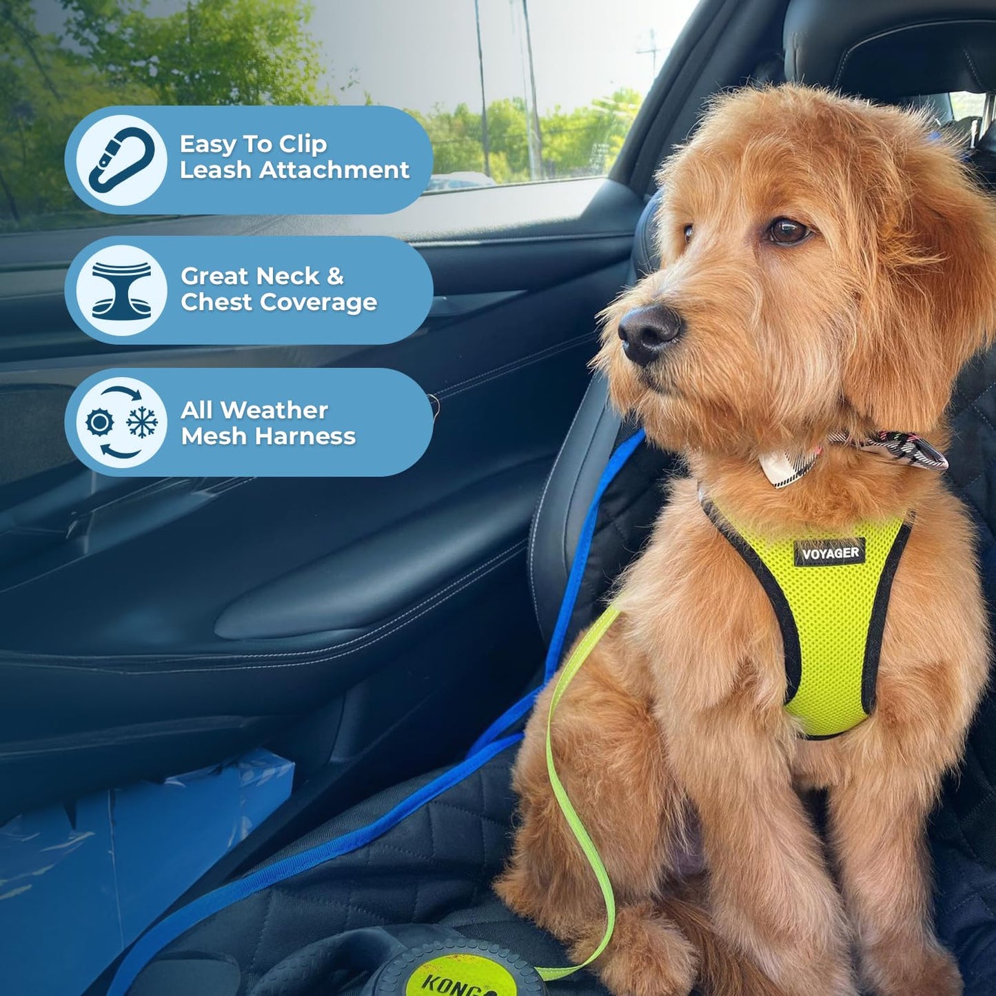 Best Pet Supplies Voyager Step-in Air Dog Harness - All Weather Mesh Step in Vest Harness for Small and Medium Dogs by - Harness (Fuchsia), Medium