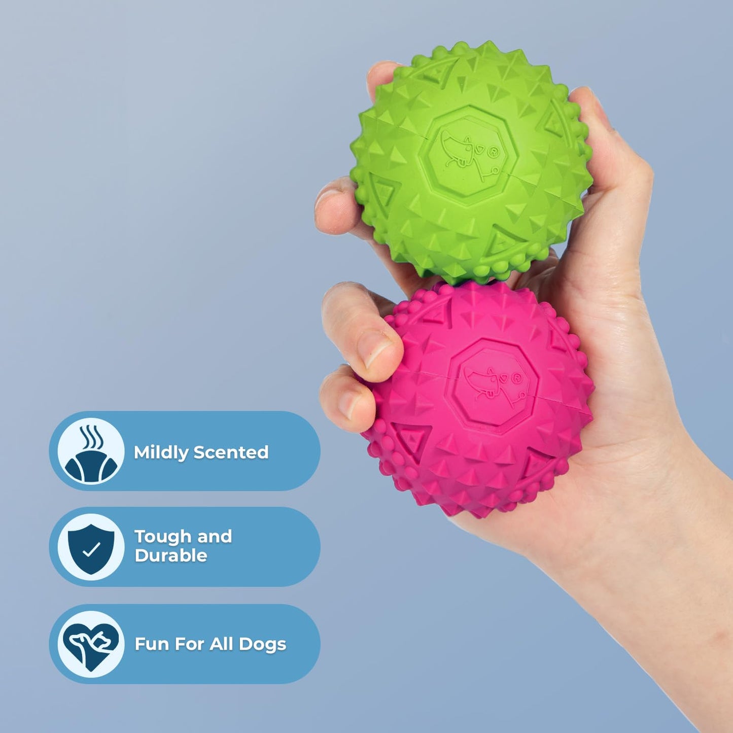Best Pet Supplies 2-in-1 Stuffless Squeaky Dog Toys with Soft, Durable Fabric for Small, Medium, and Large Pets, No Stuffing for Indoor Play, Supports Active Biting and Play - 1Wild Duck, Small