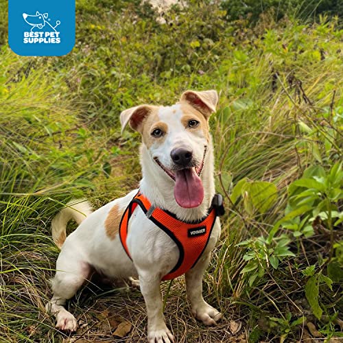 Best Pet Supplies Voyager Step-in Air Dog Harness - All Weather Mesh Step in Vest Harness for Small and Medium Dogs by - Harness (Fuchsia), Medium