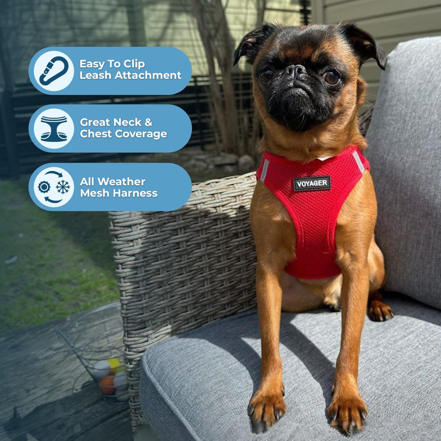 Best Pet Supplies Voyager Step-in Air Dog Harness - All Weather Mesh Step in Vest Harness for Small and Medium Dogs by - Harness (Fuchsia), Medium